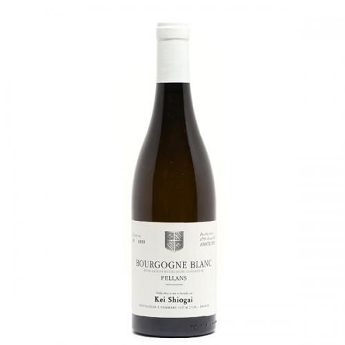 Kei Shiogai Bourgogne Blanc Pellans 2020