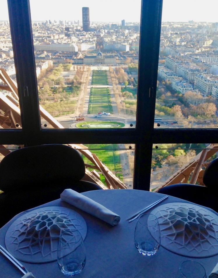 Fantastic view of Champs de Mars, Paris