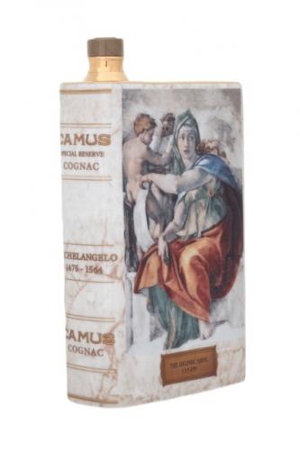 Camus book Michaelangelo Sistine Chapel